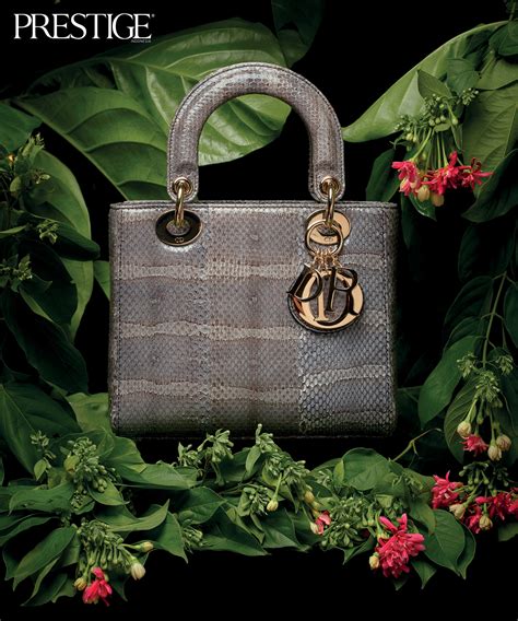 lady dior exotic bag|Lady Dior small price.